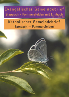 Titelbild Schmetterling